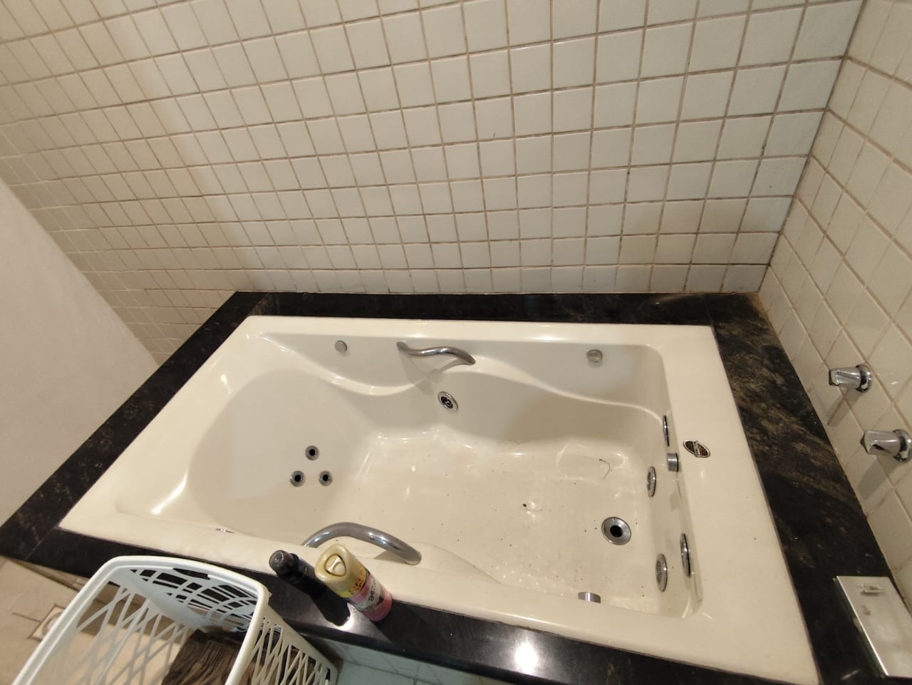 Casa, 6 quartos, 360 m² - Foto 3