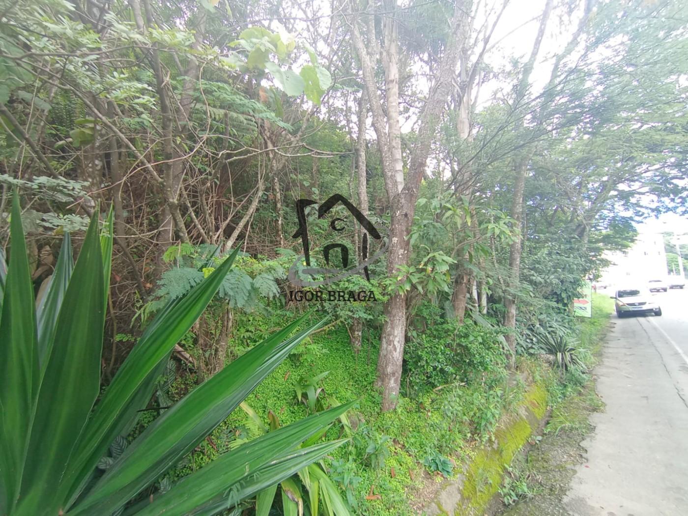 Terreno, 750 m² - Foto 5