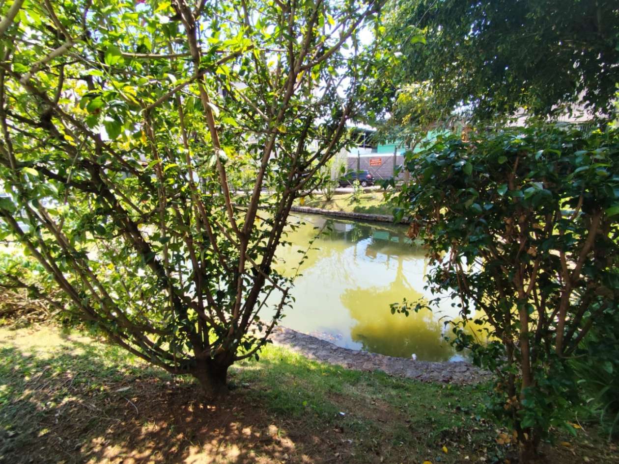 Apartamento, 2 quartos, 55 m² - Foto 23