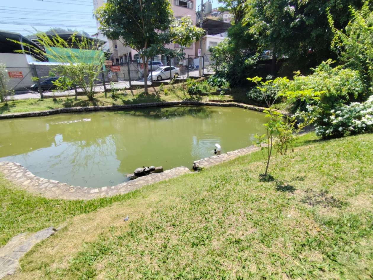 Apartamento, 2 quartos, 55 m² - Foto 3