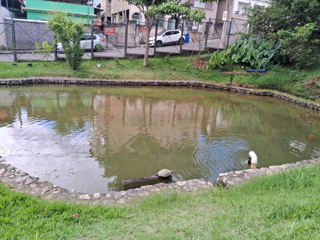 Apartamento, 2 quartos, 55 m² - Foto 5