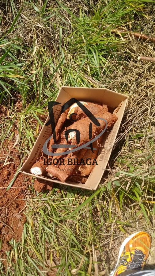 Fazenda, 1500 m² - Foto 3